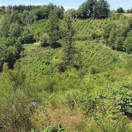 D'un Ami * Somme-Leuze