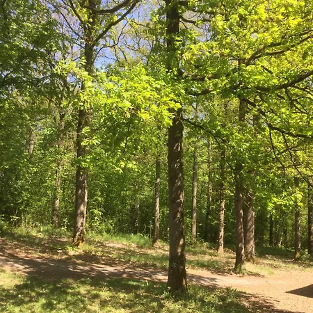 Dağ evi D'un Ami Somme-Leuze